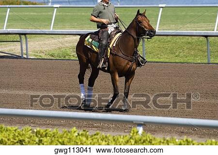 Side profile of a jockey riding a horse in a horse race View Large Photo Image Stock Image - Side profile of a jockey riding a horse in a horse race. Fotosearch