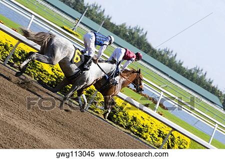 Side profile of two jockeys riding horses in a horse race View Large Photo Image Stock Photography - Side profile of two jockeys riding horses in a horse race. Fotosearch