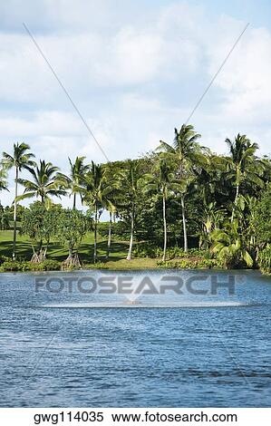 Fountain in a lake near a golf course View Large Photo Image Stock Photography - Fountain in a lake near a golf course. Fotosearch