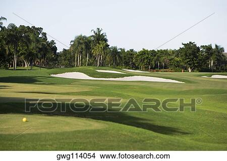 Golf ball in a golf course View Large Photo Image Picture - Golf ball in a golf course. Fotosearch