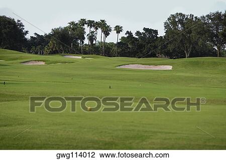 Golf ball in a golf course View Large Photo Image Stock Image - Golf ball in a golf course. Fotosearch