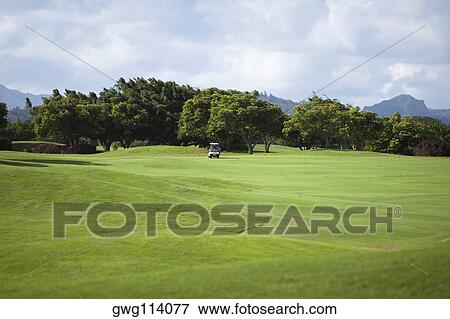 Golf cart in a golf course, Kauai, Hawaii Islands, USA View Large Photo Image Stock Photo - Golf cart in a golf course, Kauai, Hawaii Islands, USA. Fotosearch