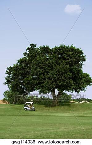 Golf cart in a golf course View Large Photo Image Stock Photograph - Golf cart in a golf course. Fotosearch