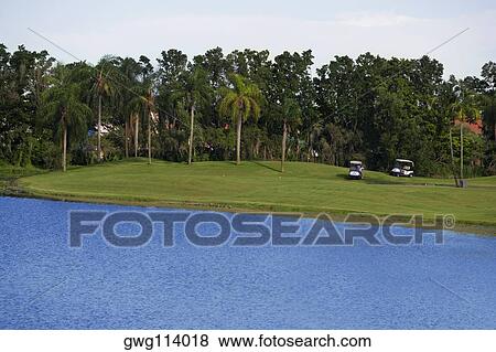 Golf carts in a golf course View Large Photo Image Stock Photo - Golf carts in a golf course. Fotosearch