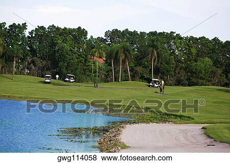 Golf carts in a golf course View Large Photo Image Stock Photo - Golf carts in a golf course. Fotosearch