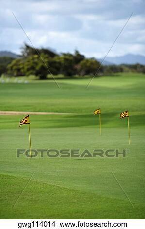 Picture - Golf flag in a golf course. Fotosearch