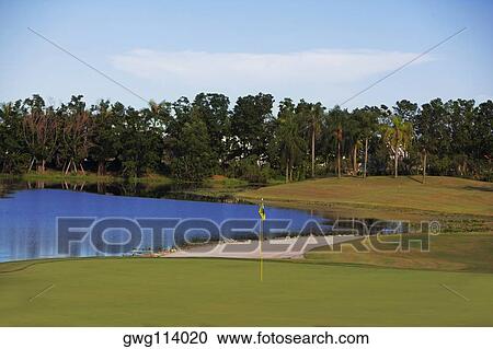 Golf flag in a golf course View Large Photo Image Stock Image - Golf flag in a golf course. Fotosearch