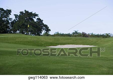Golf flag in a golf course View Large Photo Image Stock Image - Golf flag in a golf course. Fotosearch