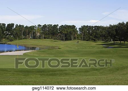 Golf flag in a golf course View Large Photo Image Stock Image - Golf flag in a golf course. Fotosearch