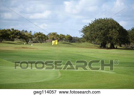 Stock Photo - Golf flag in a golf course. Fotosearch