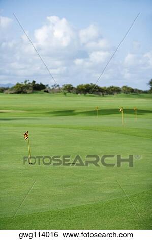 Stock Photograph - Golf flag in a golf course. Fotosearch