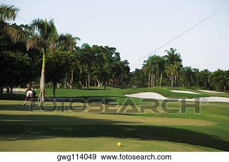 Man playing golf in a golf course View Large Photo Image Stock Photo - Man playing golf in a golf course. Fotosearch