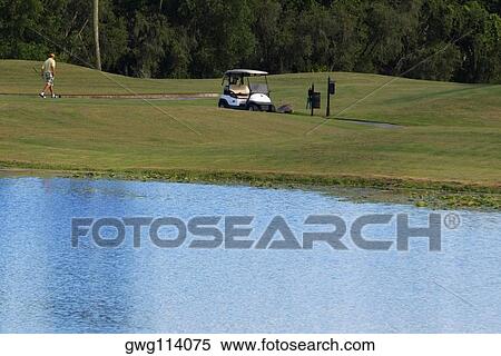 Man walking in a golf course View Large Photo Image Stock Photography - Man walking in a golf course. Fotosearch