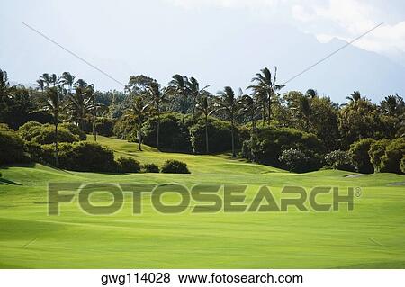 Panoramic view of a golf course View Large Photo Image Stock Photo - Panoramic view of a golf course. Fotosearch