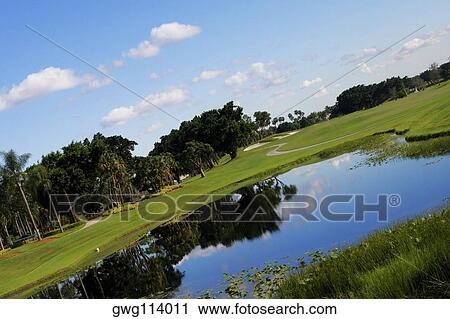 Pond in a golf course View Large Photo Image Stock Image - Pond in a golf course. Fotosearch