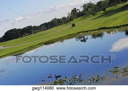 Pond in a golf course View Large Photo Image Stock Image - Pond in a golf course. Fotosearch