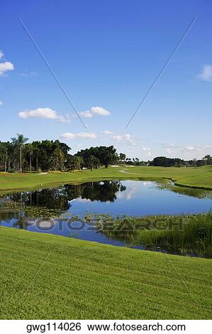 Pond in a golf course View Large Photo Image Stock Photograph - Pond in a golf course. Fotosearch