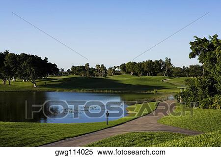 Stock Photography - Pond in a golf course. Fotosearch