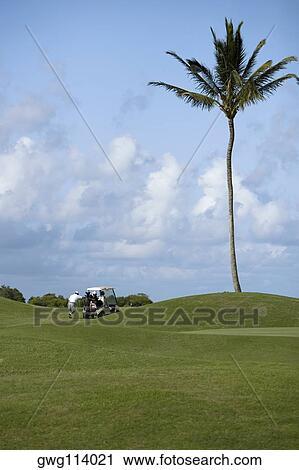 Rear view of a man pushing a golf cart in a golf course, Kauai, Hawaii Islands, USA View Large Photo Image Stock Image - Rear view of a man pushing a golf cart in a golf course, Kauai, Hawaii Islands, USA. Fotosearch