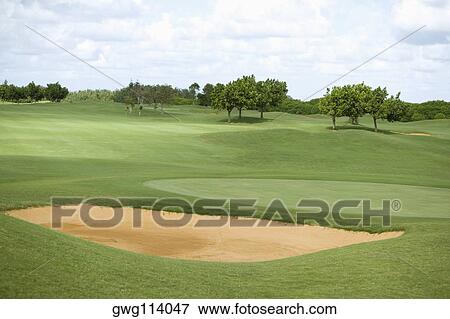 Trees in a golf course, Kauai, Hawaii Islands, USA View Large Photo Image Stock Photo - Trees in a golf course, Kauai, Hawaii Islands, USA. Fotosearch