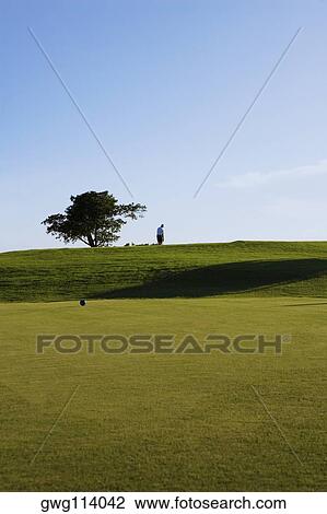 Trees in a golf course View Large Photo Image Stock Image - Trees in a golf course. Fotosearch