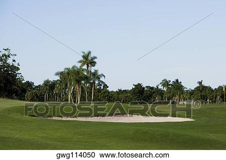 Stock Image - Trees in a golf course. Fotosearch