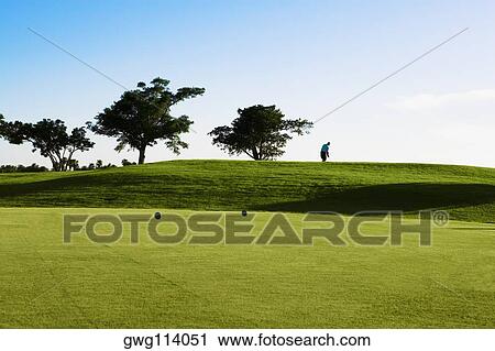 Trees in a golf course View Large Photo Image Stock Image - Trees in a golf course. Fotosearch