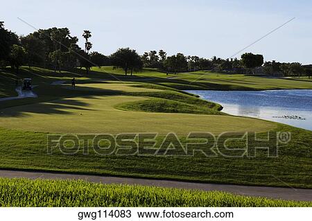 Trees in a golf course View Large Photo Image Stock Image - Trees in a golf course. Fotosearch