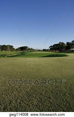 Trees in a golf course View Large Photo Image Stock Photo - Trees in a golf course. Fotosearch