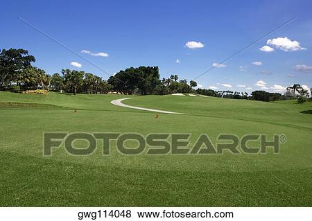 Trees in a golf course View Large Photo Image Stock Photo - Trees in a golf course. Fotosearch