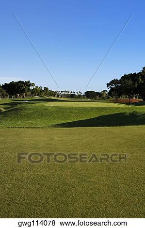 Trees in a golf course View Large Photo Image Stock Photo - Trees in a golf course. Fotosearch