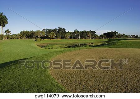Stock Photo - Trees in a golf course. Fotosearch