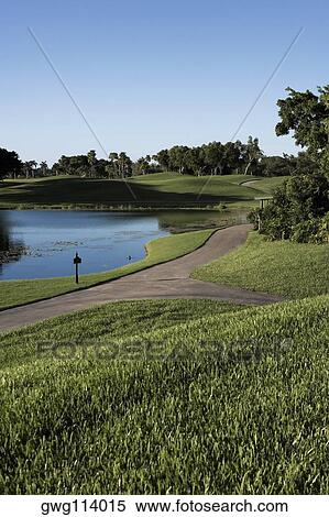 Trees in a golf course View Large Photo Image Stock Photography - Trees in a golf course. Fotosearch