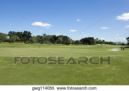 Trees in a golf course View Large Photo Image Stock Photography - Trees in a golf course. Fotosearch