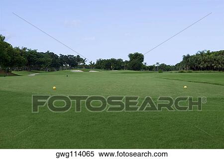 Trees in a golf course View Large Photo Image Stock Photography - Trees in a golf course. Fotosearch