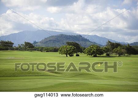 Trees in a golf course with a mountain range in background, Kauai, Hawaii Islands, USA View Large Photo Image Stock Image - Trees in a golf course with a mountain range in background, Kauai, Hawaii Islands, USA. Fotosearch