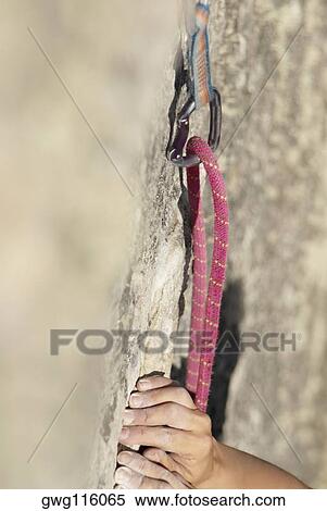 Close-up of a climber's hands gripping a rock View Large Photo Image Stock Photography - Close-up of a climber's hands gripping a rock. Fotosearch