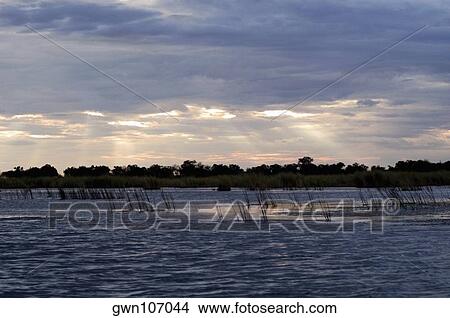 Picture - Clouds over a swamp, Okavango Delta, Botswana. Fotosearch