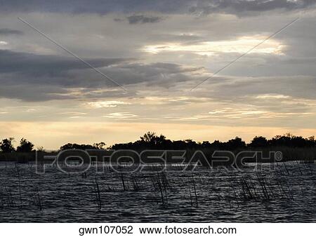 Stock Image - Clouds over a swamp, Okavango Delta, Botswana. Fotosearch