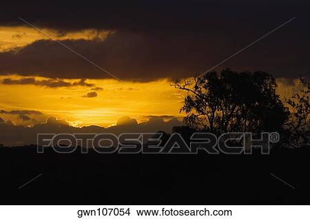 Picture - Sunset over a mountain range, Kruger National Park, South Africa. Fotosearch