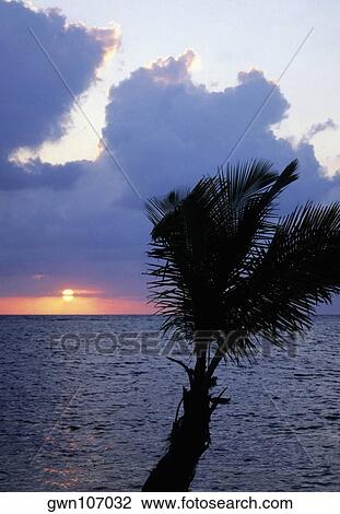 Stock Image - Sunset over the sea, Blackbeard's Caye, Belize. Fotosearch