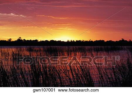 Stock Image - Sunset over the swamp, Okavango Delta, Botswana. Fotosearch