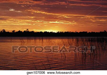 Stock Photograph - Sunset over the swamp, Okavango Delta, Botswana. Fotosearch
