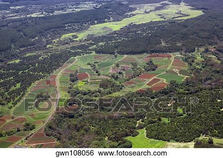 Stock Photograph - Aerial view of a landscape, Hilo, Big Island, Hawaii Islands, USA. Fotosearch