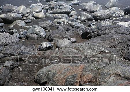 High angle view of stones, Kalapana, Big Island, Hawaii Islands, USA View Large Photo Image Stock Image - High angle view of stones, Kalapana, Big Island, Hawaii Islands, USA. Fotosearch