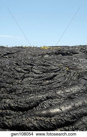 Picture - High angle view of volcanic landscape, Kalapana, Big Island, Hawaii Islands, USA. Fotosearch