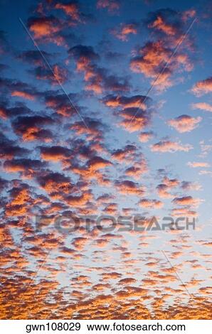 Low angle view of clouds in the sky View Large Photo Image Stock Photo - Low angle view of clouds in the sky. Fotosearch