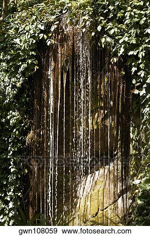 Waterfalls in a forest, Hana Highway, Twin falls, Maui, Hawaii Islands, USA View Large Photo Image Stock Photo - Waterfalls in a forest, Hana Highway, Twin falls, Maui, Hawaii Islands, USA. Fotosearch