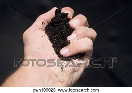 Close-up of a person's hand holding soil View Large Photo Image Stock Image - Close-up of a person's hand holding soil. Fotosearch