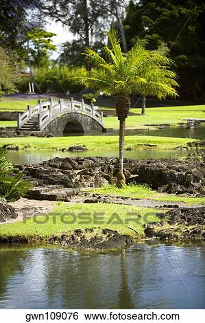 Footbridge Across A River Liliuokalani Park And Gardens Hilo